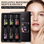 6pcs Essential Oil Set