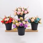 Gorgeous Potted Flower