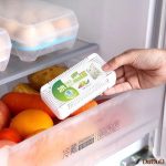 Fridge Deodorizer