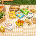 Foldable Picnic Mat