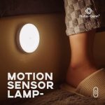 Motion Detecting Body Induction Light