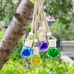 Car Diffuser (12pcs)