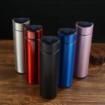 Digital Temperature Flask