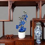 Above Potted Flower - Image 4